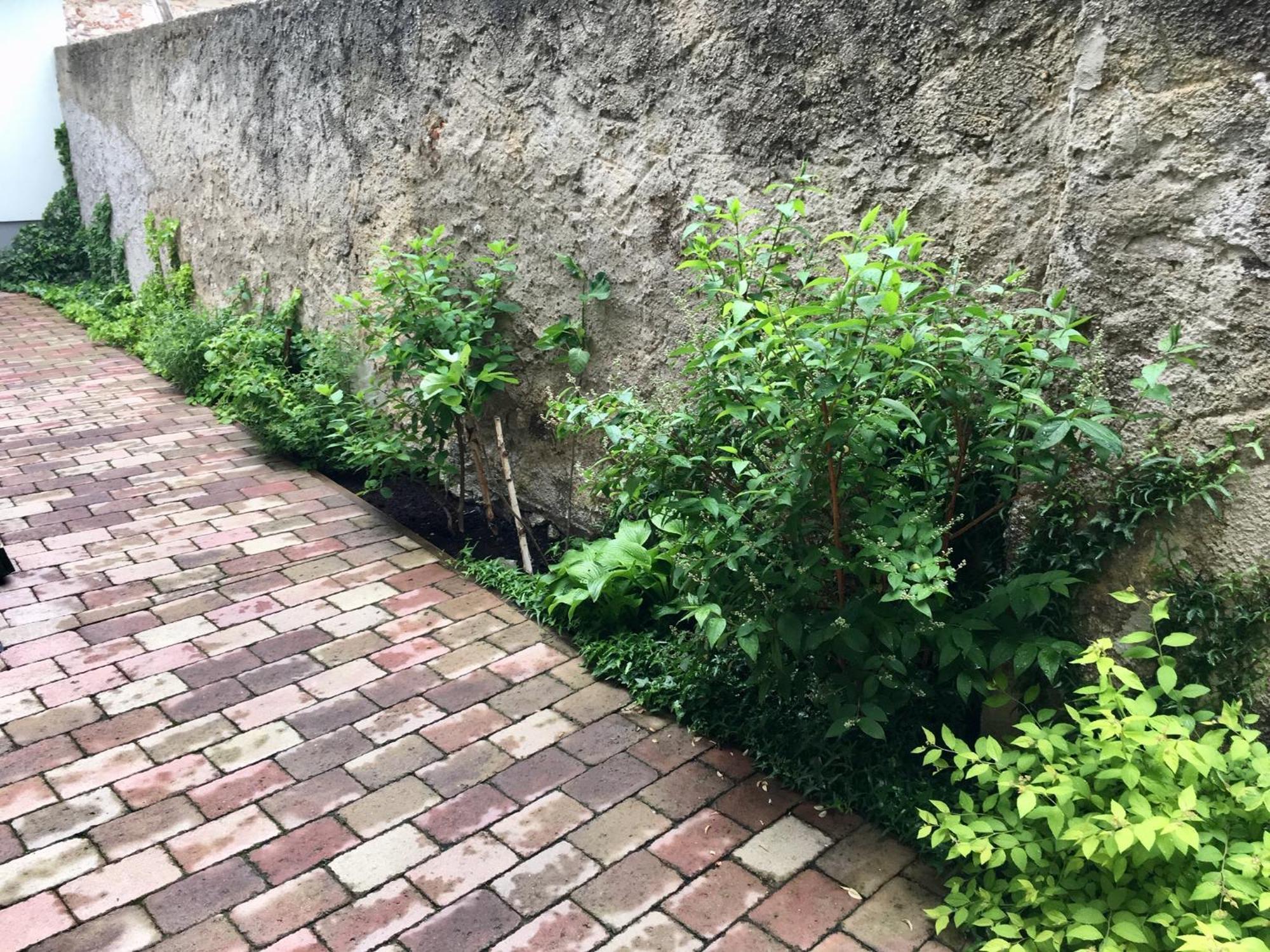 Apartmany U Vavrince Sušice 외부 사진